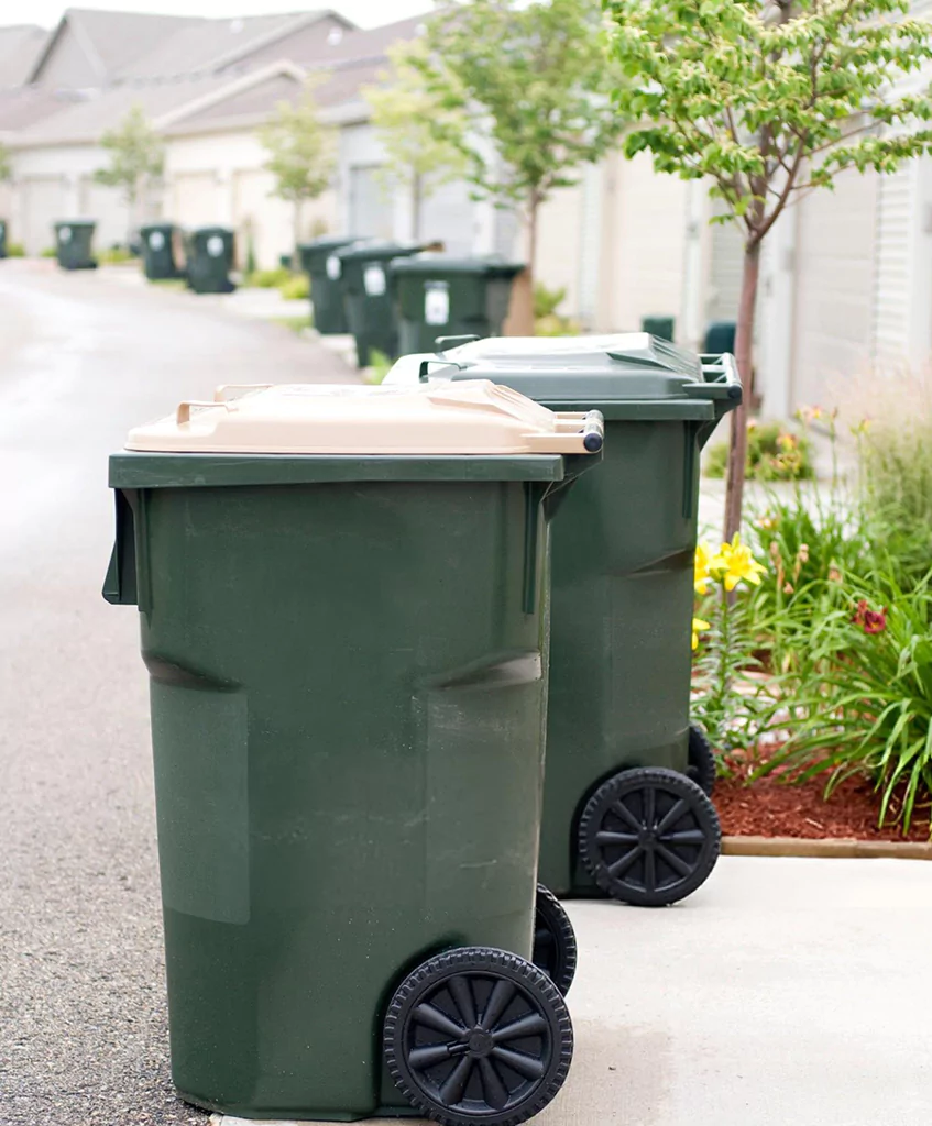 Trash Bin Cleaning