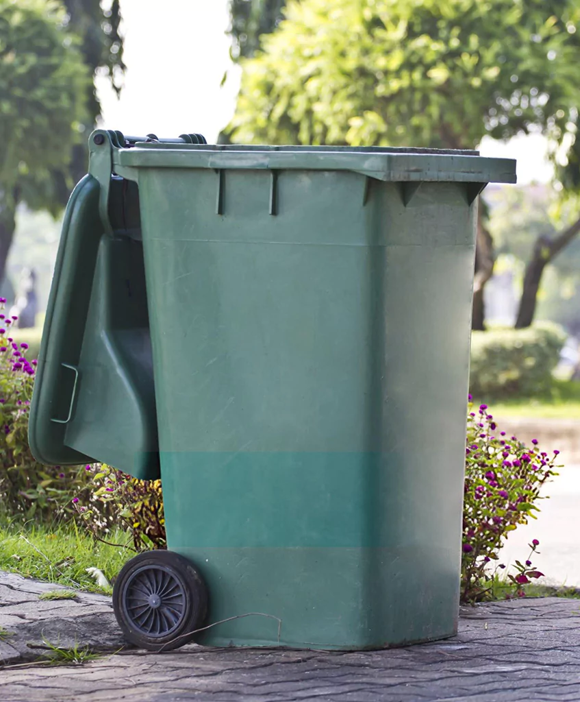 Trash Bin Cleaning